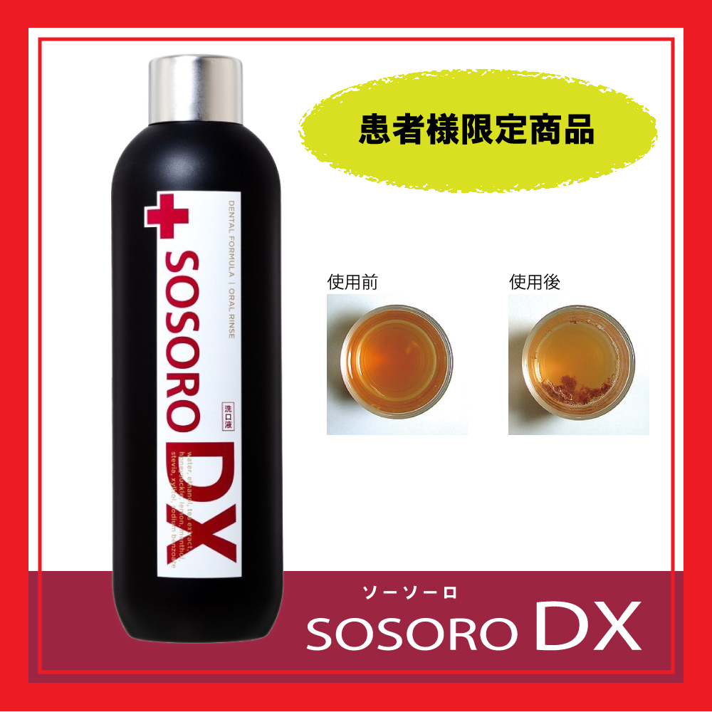 SOSORO　DX